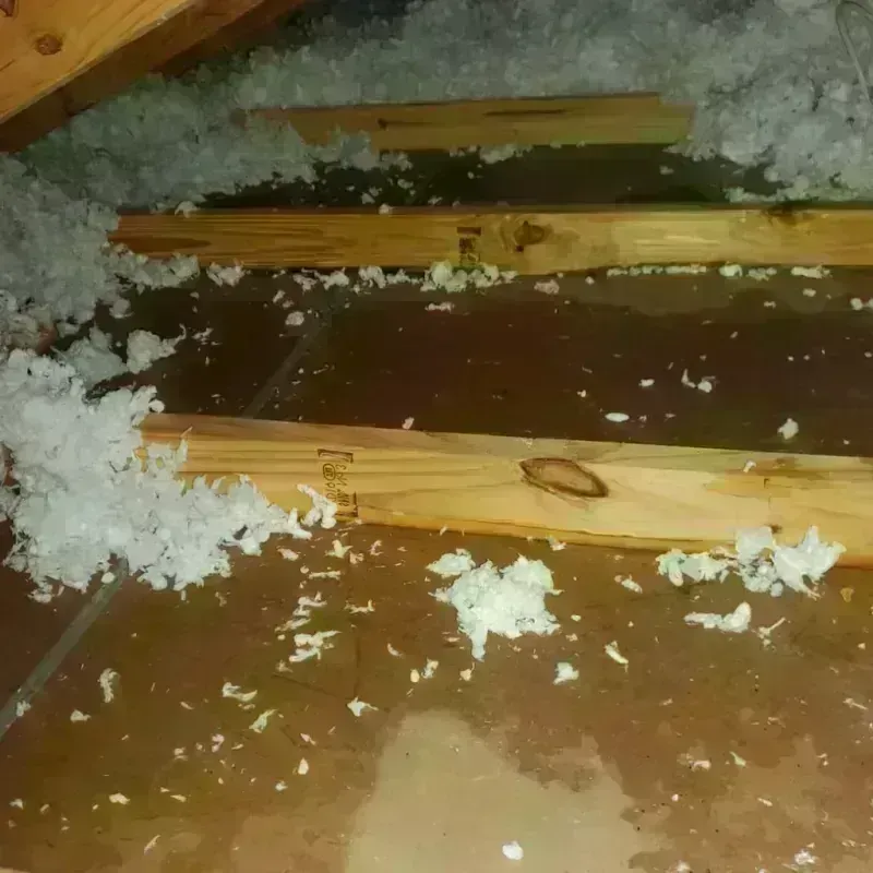 Attic Water Damage in Copper Canyon, TX